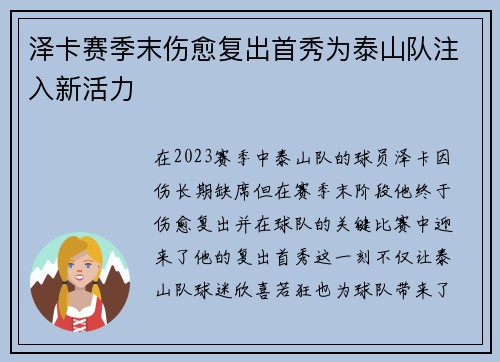泽卡赛季末伤愈复出首秀为泰山队注入新活力